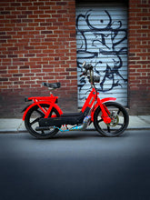 Lade das Bild im Gallery-Viewer, DBR Auspuff Wyvern Titan Multicolor