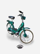 Lade das Bild im Gallery-Viewer, DBR Auspuff Wyvern Titan Multicolor