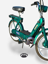 Lade das Bild im Gallery-Viewer, DBR Auspuff Wyvern Titan Multicolor