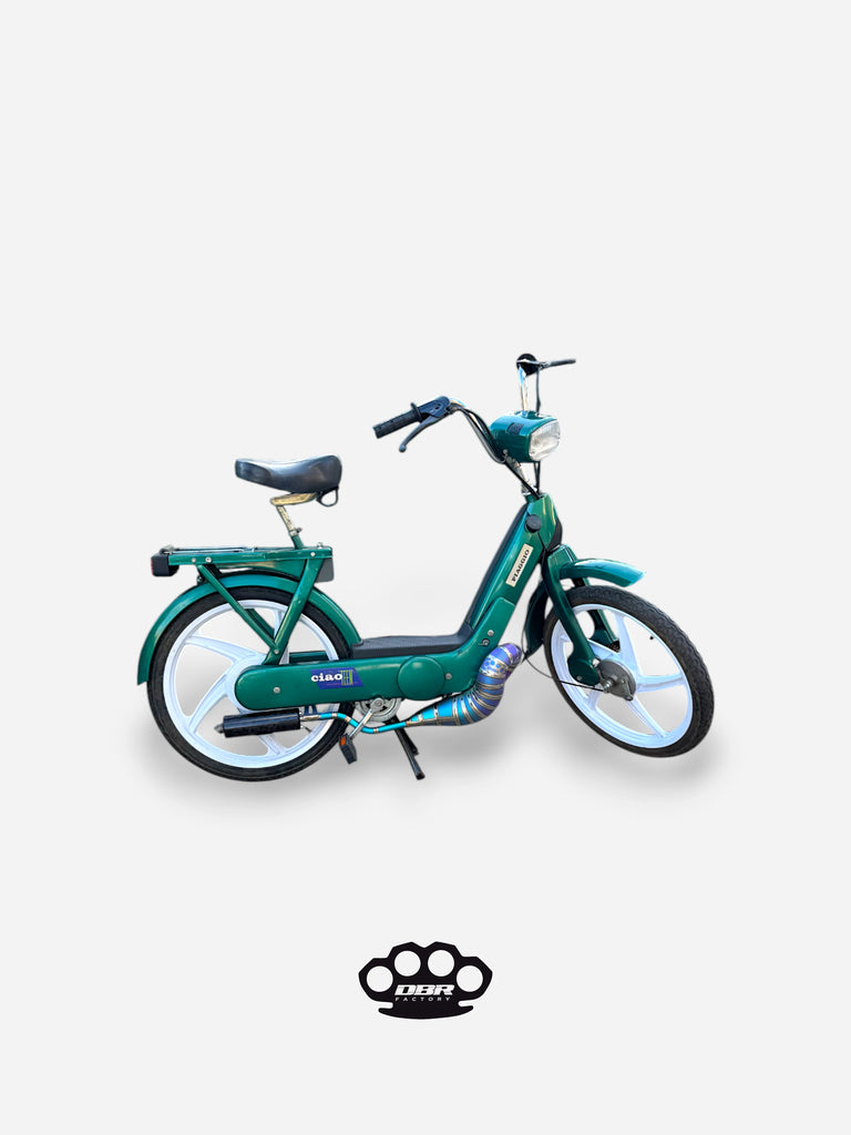 DBR Auspuff Wyvern Titan Multicolor