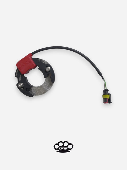 Statore Selettra - KTM Sx 50 Minicross mit Gehäuseadapterplatte