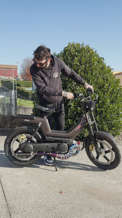 Auspuff DBR Wyvern Titan Mehrfarbig